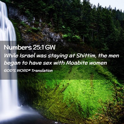 Picture 02 - Numbers 25:1 GW - While Israel was staying at Shittim, the men - Bible Verse Picture