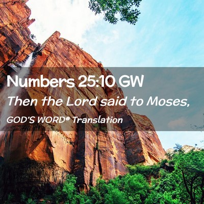 Picture 02 - Numbers 25:10 GW - Then the Lord said to - Bible Verse Picture