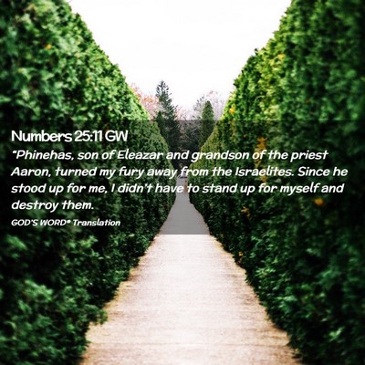 Picture 02 - Numbers 25:11 GW - “Phinehas, son of Eleazar and grandson of the - Bible Verse Picture
