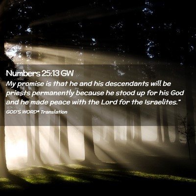 Picture 02 - Numbers 25:13 GW - My promise is that he and his descendants will be - Bible Verse Picture