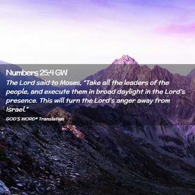 Picture 02 - Numbers 25:4 GW - The Lord said to Moses, “Take all the leaders - Bible Verse Picture
