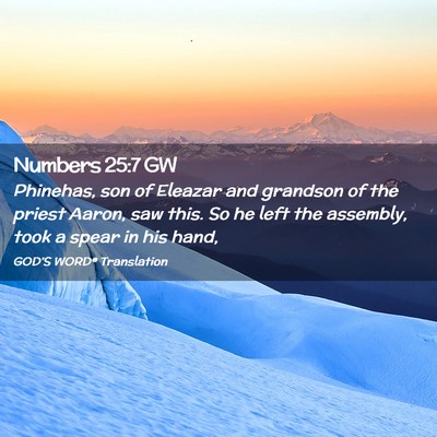 Picture 02 - Numbers 25:7 GW - Phinehas, son of Eleazar and grandson of the - Bible Verse Picture