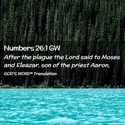 Picture 02 - Numbers 26:1 GW - After the plague the Lord said to Moses and - Bible Verse Picture