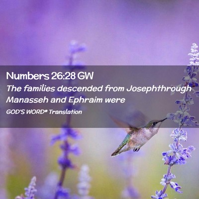 Picture 02 - Numbers 26:28 GW - The families descended from Josephthrough - Bible Verse Picture
