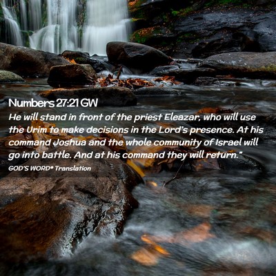 Picture 02 - Numbers 27:21 GW - He will stand in front of the priest Eleazar, who - Bible Verse Picture