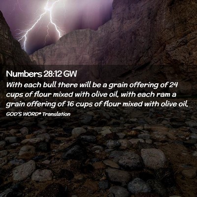 Picture 02 - Numbers 28:12 GW - With each bull there will be a grain offering of - Bible Verse Picture