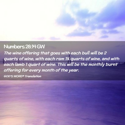 Picture 02 - Numbers 28:14 GW - The wine offering that goes with each bull will - Bible Verse Picture