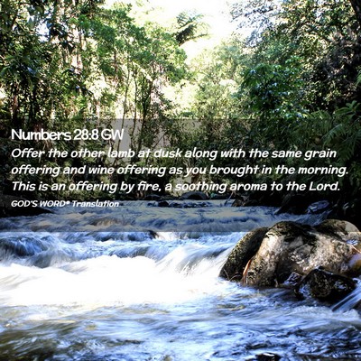 Picture 02 - Numbers 28:8 GW - Offer the other lamb at dusk along with the same - Bible Verse Picture