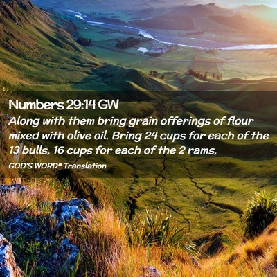 Picture 02 - Numbers 29:14 GW - Along with them bring grain offerings of flour - Bible Verse Picture