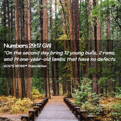 Picture 02 - Numbers 29:17 GW - “On the second day bring 12 young bulls, 2 - Bible Verse Picture