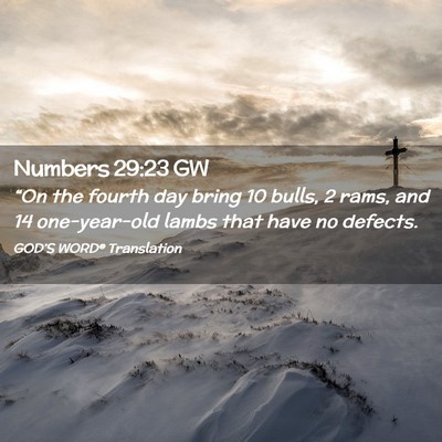 Picture 02 - Numbers 29:23 GW - “On the fourth day bring 10 bulls, 2 rams, and - Bible Verse Picture