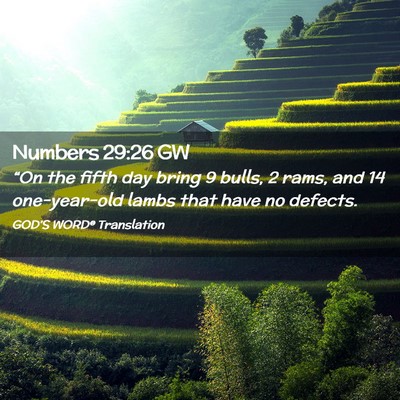 Picture 02 - Numbers 29:26 GW - “On the fifth day bring 9 bulls, 2 rams, and 14 - Bible Verse Picture