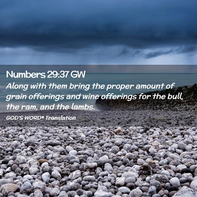 Picture 02 - Numbers 29:37 GW - Along with them bring the proper amount of grain - Bible Verse Picture