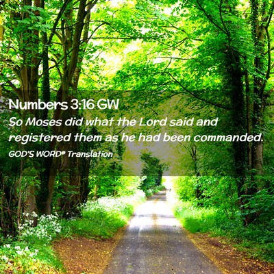 Picture 02 - Numbers 3:16 GW - So Moses did what the Lord said and registered - Bible Verse Picture