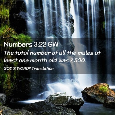 Picture 02 - Numbers 3:22 GW - The total number of all the males at least one - Bible Verse Picture