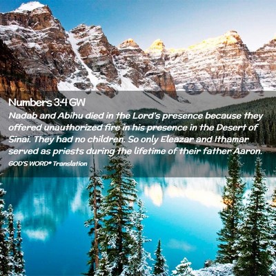 Picture 02 - Numbers 3:4 GW - Nadab and Abihu died in the Lord’s presence - Bible Verse Picture