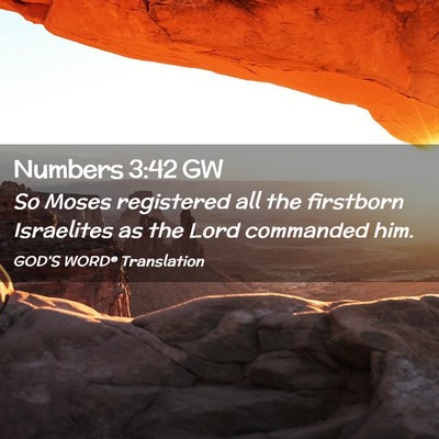 Picture 02 - Numbers 3:42 GW - So Moses registered all the firstborn Israelites - Bible Verse Picture