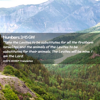 Picture 02 - Numbers 3:45 GW - “Take the Levites to be substitutes for all the - Bible Verse Picture