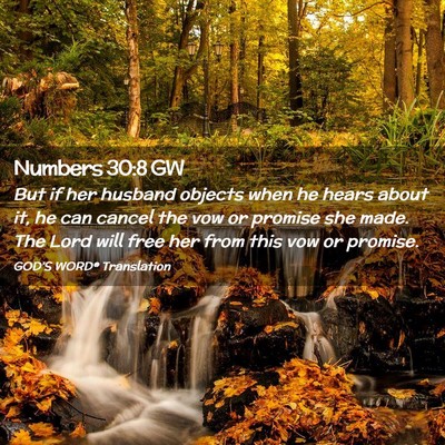 Picture 02 - Numbers 30:8 GW - But if her husband objects when he hears about - Bible Verse Picture