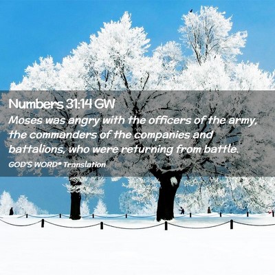 Picture 02 - Numbers 31:14 GW - Moses was angry with the officers of the army, - Bible Verse Picture