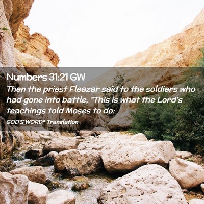 Picture 02 - Numbers 31:21 GW - Then the priest Eleazar said to the soldiers who - Bible Verse Picture
