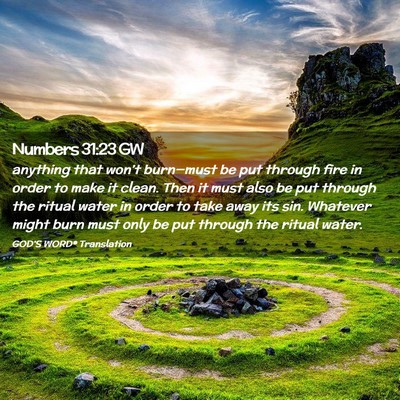 Picture 02 - Numbers 31:23 GW - anything that won’t burn—must be put through - Bible Verse Picture