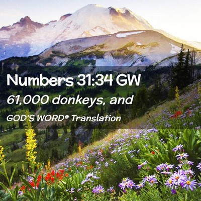 Picture 02 - Numbers 31:34 GW - 61,000 donkeys, - Bible Verse Picture