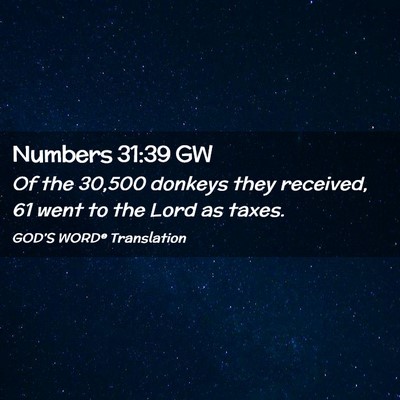Picture 02 - Numbers 31:39 GW - Of the 30,500 donkeys they received, 61 went to - Bible Verse Picture