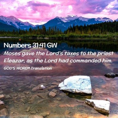 Picture 02 - Numbers 31:41 GW - Moses gave the Lord’s taxes to the priest - Bible Verse Picture