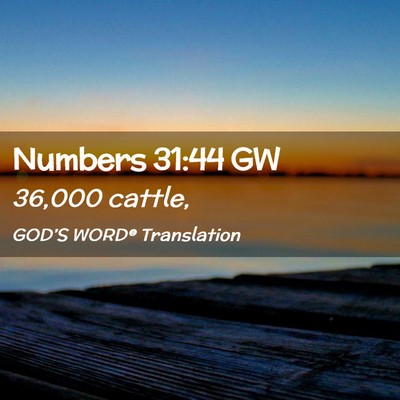 Picture 02 - Numbers 31:44 GW - 36,000 - Bible Verse Picture