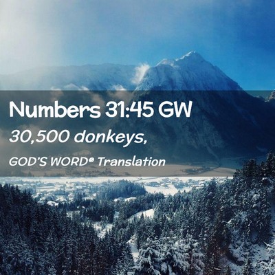 Picture 02 - Numbers 31:45 GW - 30,500 - Bible Verse Picture