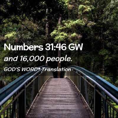 Picture 02 - Numbers 31:46 GW - and 16,000 - Bible Verse Picture