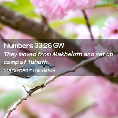 Picture 02 - Numbers 33:26 GW - They moved from Makheloth and set up camp at - Bible Verse Picture