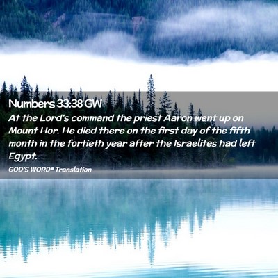 Picture 02 - Numbers 33:38 GW - At the Lord’s command the priest Aaron went up - Bible Verse Picture