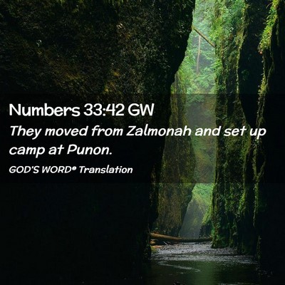 Picture 02 - Numbers 33:42 GW - They moved from Zalmonah and set up camp at - Bible Verse Picture