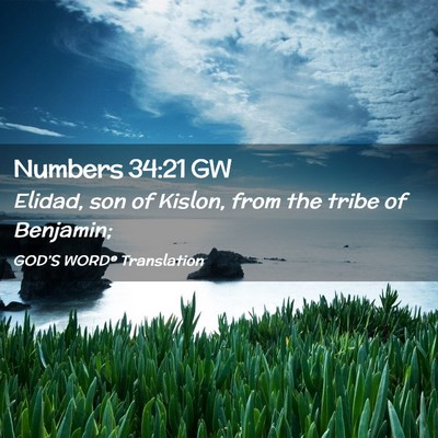 Picture 02 - Numbers 34:21 GW - Elidad, son of Kislon, from the tribe of - Bible Verse Picture