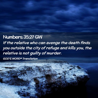 Picture 02 - Numbers 35:27 GW - If the relative who can avenge the death finds - Bible Verse Picture