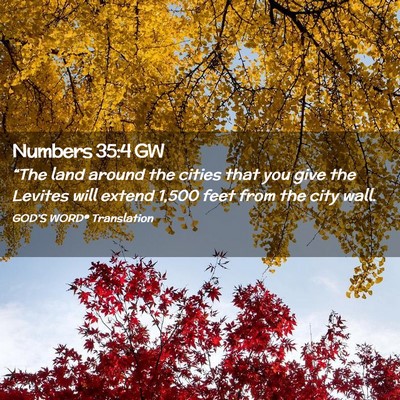 Picture 02 - Numbers 35:4 GW - “The land around the cities that you give the - Bible Verse Picture