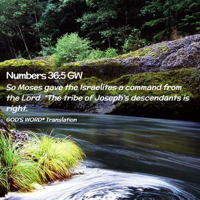 Picture 02 - Numbers 36:5 GW - So Moses gave the Israelites a command from the - Bible Verse Picture