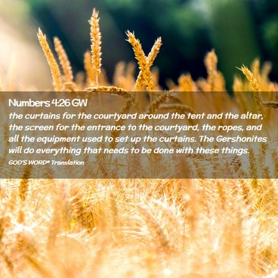 Picture 02 - Numbers 4:26 GW - the curtains for the courtyard around the tent - Bible Verse Picture