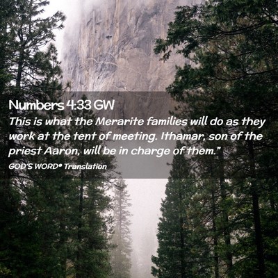 Picture 02 - Numbers 4:33 GW - This is what the Merarite families will do as - Bible Verse Picture