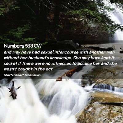 Picture 02 - Numbers 5:13 GW - and may have had sexual intercourse with another - Bible Verse Picture