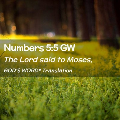 Picture 02 - Numbers 5:5 GW - The Lord said to - Bible Verse Picture