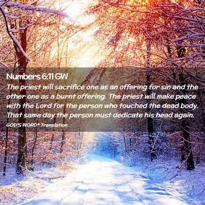 Picture 02 - Numbers 6:11 GW - The priest will sacrifice one as an offering for - Bible Verse Picture