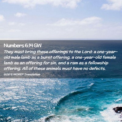 Picture 02 - Numbers 6:14 GW - They must bring these offerings to the Lord: a - Bible Verse Picture