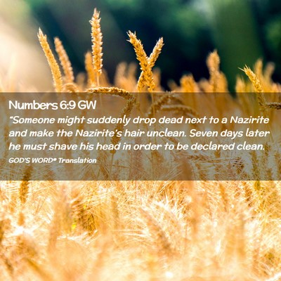 Picture 02 - Numbers 6:9 GW - “Someone might suddenly drop dead next to a - Bible Verse Picture