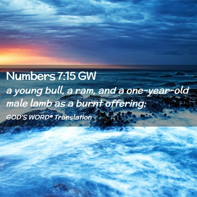 Picture 02 - Numbers 7:15 GW - a young bull, a ram, and a one-year-old male lamb - Bible Verse Picture