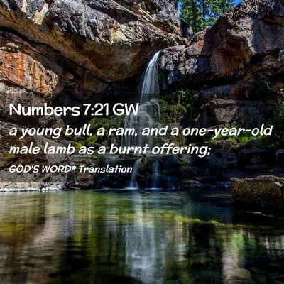Picture 02 - Numbers 7:21 GW - a young bull, a ram, and a one-year-old male lamb - Bible Verse Picture