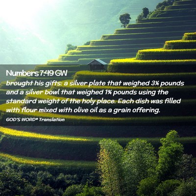 Picture 02 - Numbers 7:49 GW - brought his gifts: a silver plate that weighed - Bible Verse Picture