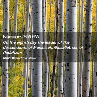 Picture 02 - Numbers 7:54 GW - On the eighth day the leader of the descendants - Bible Verse Picture